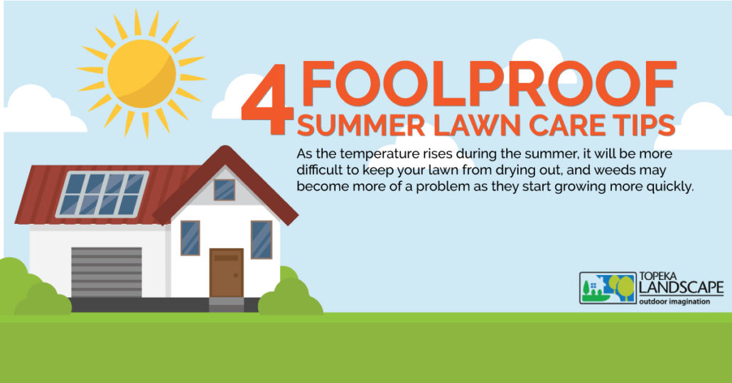 INFOGRAPHIC Summer Lawn Care Tips How To Keep Yard Looking Nice All