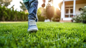 AdobeStock_807320239