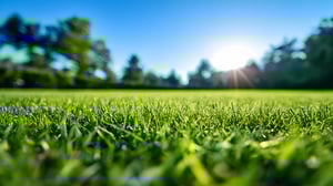 AdobeStock_937631000