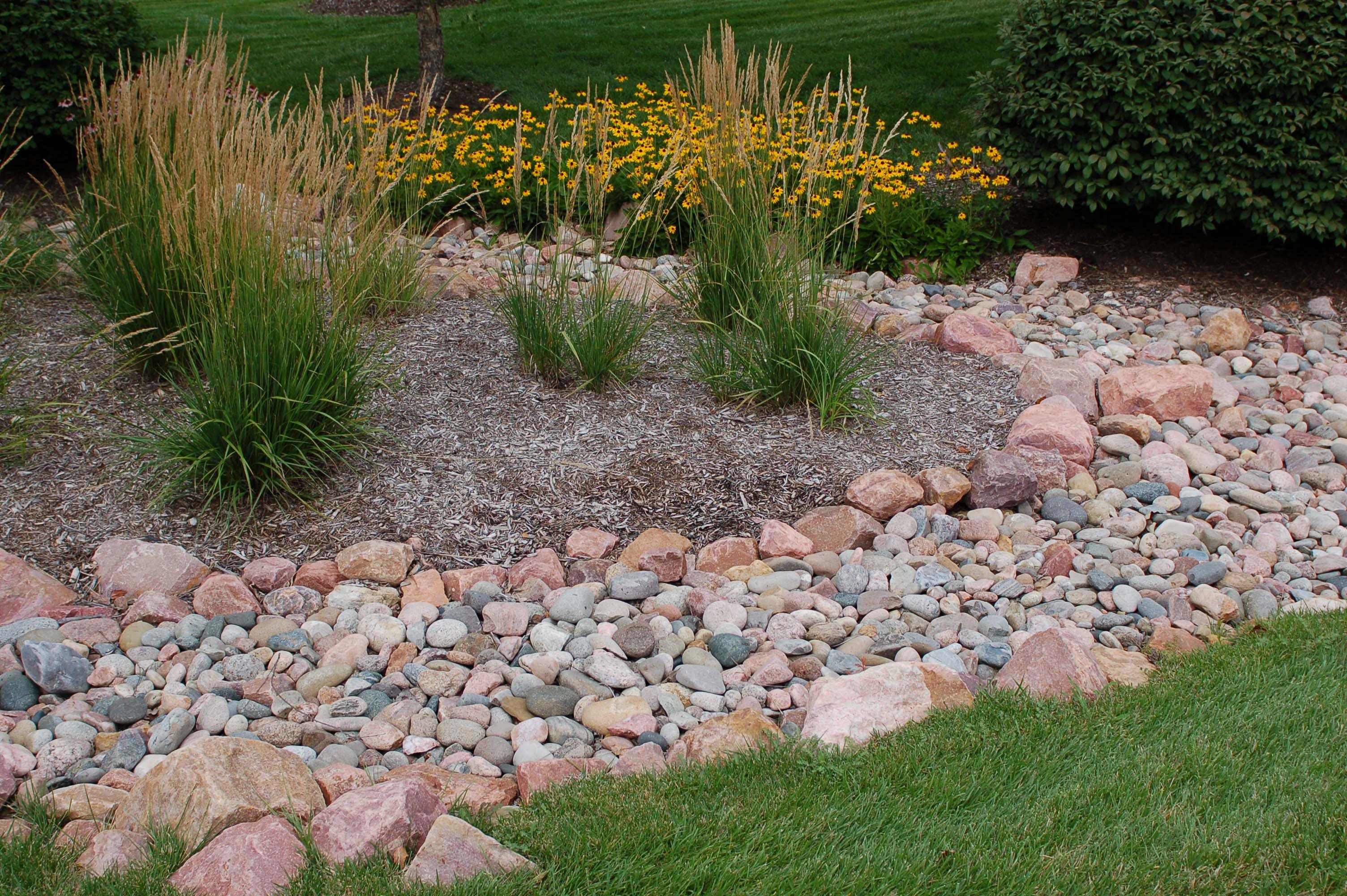 drainage_Dry Creek with Planting