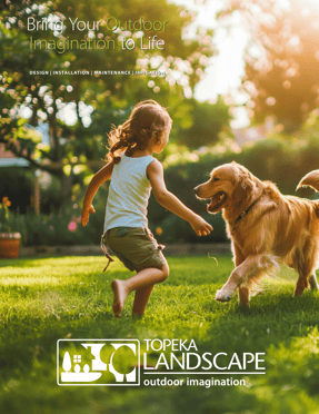 Screen Shot 2025-06-04 at 4.26.49 PM