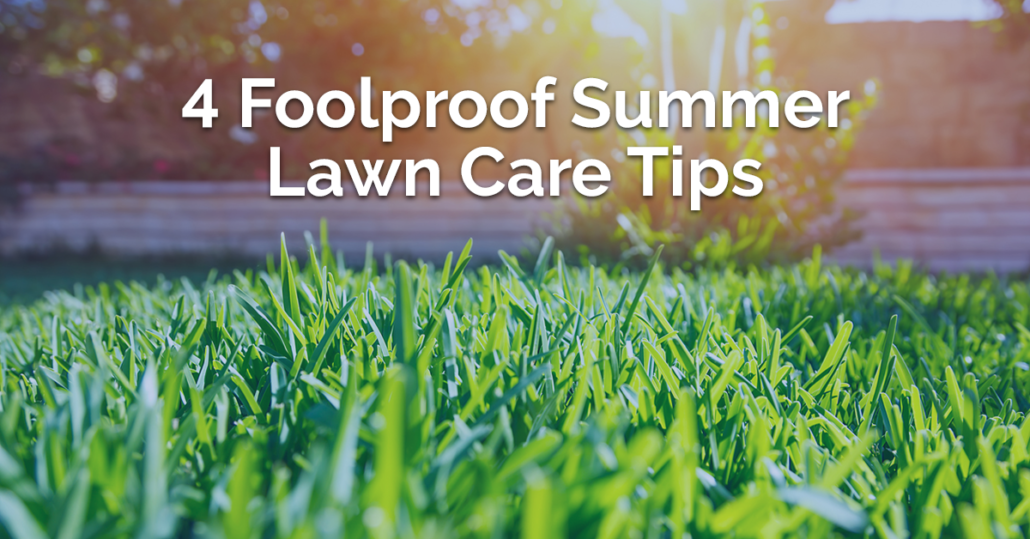 INFOGRAPHIC] Summer Lawn Care Tips 